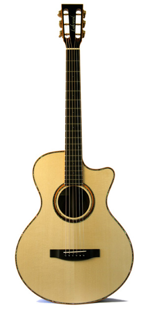 Main view A-24 CP