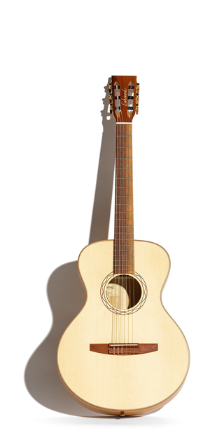 Lakewood cheap classical guitar