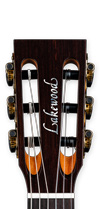 Headstock A-36 CP Crossover
