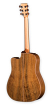 Rear view D-18 CP